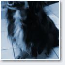 (23/36): img-20200210-wa0013.jpg